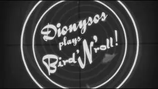 Dionysos plays Bird'N'roll ! (teaser 1)
