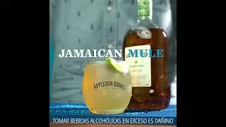 JAMAICAN MULE