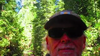Sierra Discovery Trail!