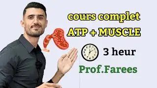 ATP + MUSCLE 💪🏻 2026 || Prof.Farees || 🔥✨ 2bac  استعد للفرض الأول  