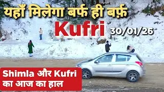 आज का हाल Shimla और Kufri का | Shimla Kufri Latest Update Video #Shimlakufrisnowfall #shimla