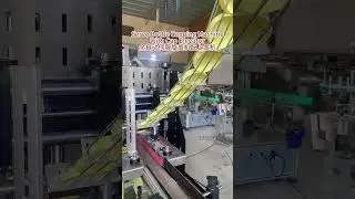 ZONESUN Automatic Servo Motor Bottle Capping Machine With Cap Elevator #capper #cappingmachine