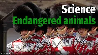 5.6 Endangered animals. Part 1