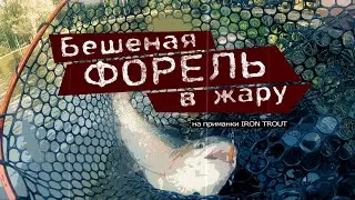 Ловим бешеную форель в 30 градусную жару на приманки IRON TROUT