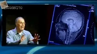 Actors and Cognition: Can Acting Training Positively Impact the Brain?