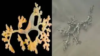 Dendrogaster - Aluminum Foil Sculpture