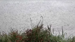 ☂ City Raindrops on Water ☂ Sounds