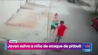 Pitbull ataca a ni&ntilde;o en la calle, un joven lo salv&oacute; | Noticias con Yuriria Sierra