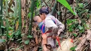 Single mother,  years old, came home from chopping bananas and her house was burned, Ly Tieu Anh