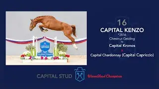 LOT 16 CAPITAL KENZO - CAPITAL KRONOS x CAPITAL CAPRICCIO