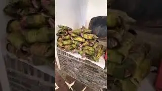 Restaurante Arroyo la mejor Barbacoa de Mexico. Eugenio y Horacio Refugio Jurado Tapia. DJT. Dios