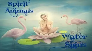 WATER SIGNS SPIRIT ANIMALS APRIL 2020: THERE IS WISDOM IN EVERY DECISION: ZODIAC LOVE TAROT