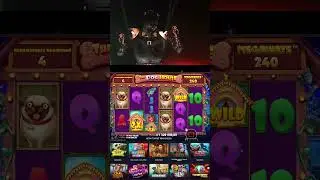 The DOG HOUSE по макс бету #bigwin #онлайнказино #casino #slot #jackpot #win