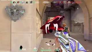budget valorant player
