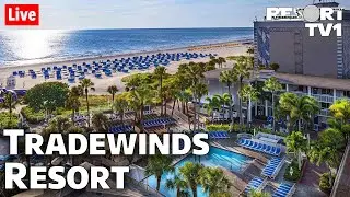 🔴Live: Tradewinds Island Grand Resort - St. Pete Beach Live Stream Tour