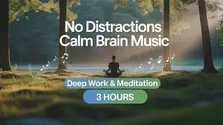 No Distractions | Calm Brain Music for Deep Work | Peaceful Meditation for Mental Relaxation | 3HRS