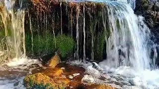 15 Minutes Calm Music and Visuals for Relaxation and Focus