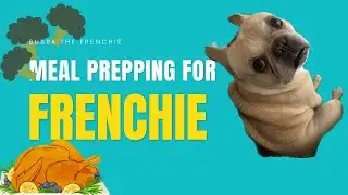 Meal prep for my dog - Road-trip preparations! - Home made food for my dog