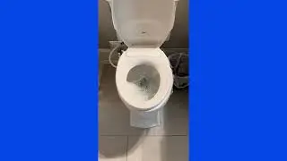 Affordable Bidet Option? American Standard Seat Review #lifeupgrade #bathroomupgrade #clean