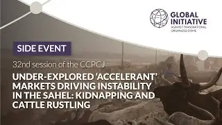 Under-explored &lsquo;accelerant&rsquo; markets driving instability in the Sahel