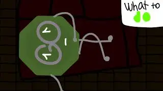 What to do - Animation Time OST