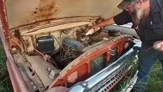 Will it Run? 1958 Ford F100 10 year ColdStart of the old 223 inline 6 Plus Some mad wasps #fypage