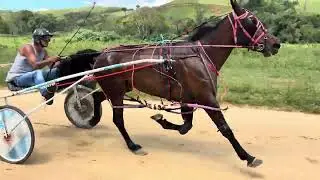 1º Negrali 2.21,08; 2º Baia do Guandu 2.23,11; 3º Capivara s/t