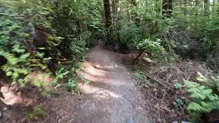 Sunnybrae Singletrack ACF #humboldtMTB #acf