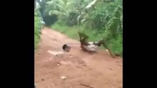 Funny latest 2016..Can't stop laughing