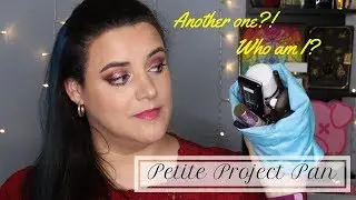 PETITE PROJECT PAN | Introduction