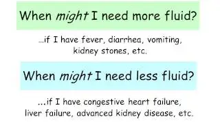 Getting into the Driver&rsquo;s Seat &ndash; a Guide to Managing Your Kidney Health