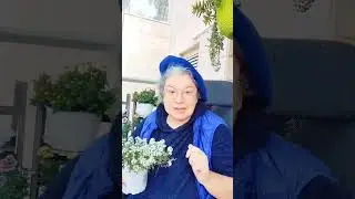 Тем, кто не верит в бога