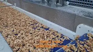 Nhr Soğutma Sistemleri IQF Freezer Uygulaması