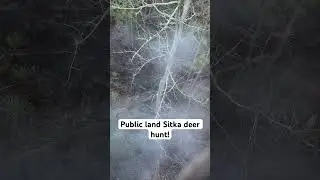 Sitka deer down! #maryland #easternshore #hunting #publicland #sitkadeer #success #fypシ゚viral