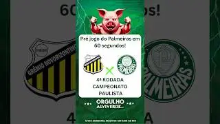Pr&eacute; jogo Novorizontino x Palmeiras - Rodada 4 do Paulist&atilde;o #palmeiras #futebol #paulist&atilde;o #verd&atilde;o