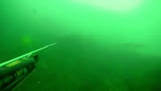 Trofe Has Kefal Avı
