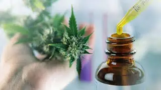 CBD Wealth Transfer - CBD Opportunity
