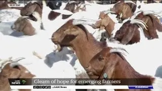 North West farmers welcome launch of Agri Hub