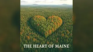 💚The Heart of Maine🌲-untamed home🐾🌫️🦉👣