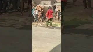 Daru bolegi