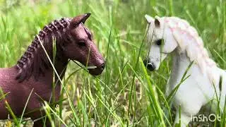 “Start of something right”~Schleich music video