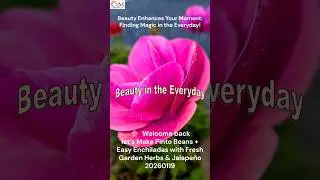 Comfort Food  Pinto Beans & Enchiladas  Beauty in the Everyday  20260119