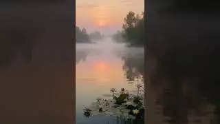 Misty Lake Sunrise​ #MistyMorning #Sunrise #FoggyLake #NatureAesthetics #SereneView