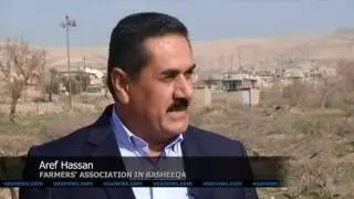 Iraq Struggles to Rebuild Agriculture After Years of Devastation, Neglect