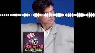 REMAIN IN LIGHT: Harrison and Belew Bring it Back Live / Deadheads Salute Talking Heads