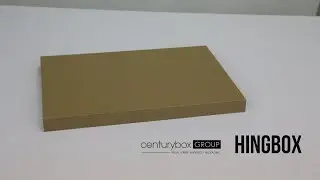 Showcasing the Flat and Practical HingBox