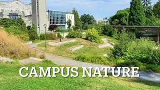 UBC campus tour video
