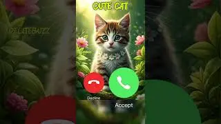 Cute cat calling