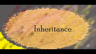 Inheritance Understanding the Concept