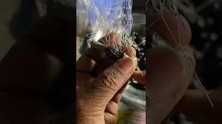Part 8 Fishing Cast Net Iron Gooli Fiting #castnet #fishingnet #goolifiting #net